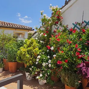 Descalzos Angel With Private Terrace Free Parking Ronda